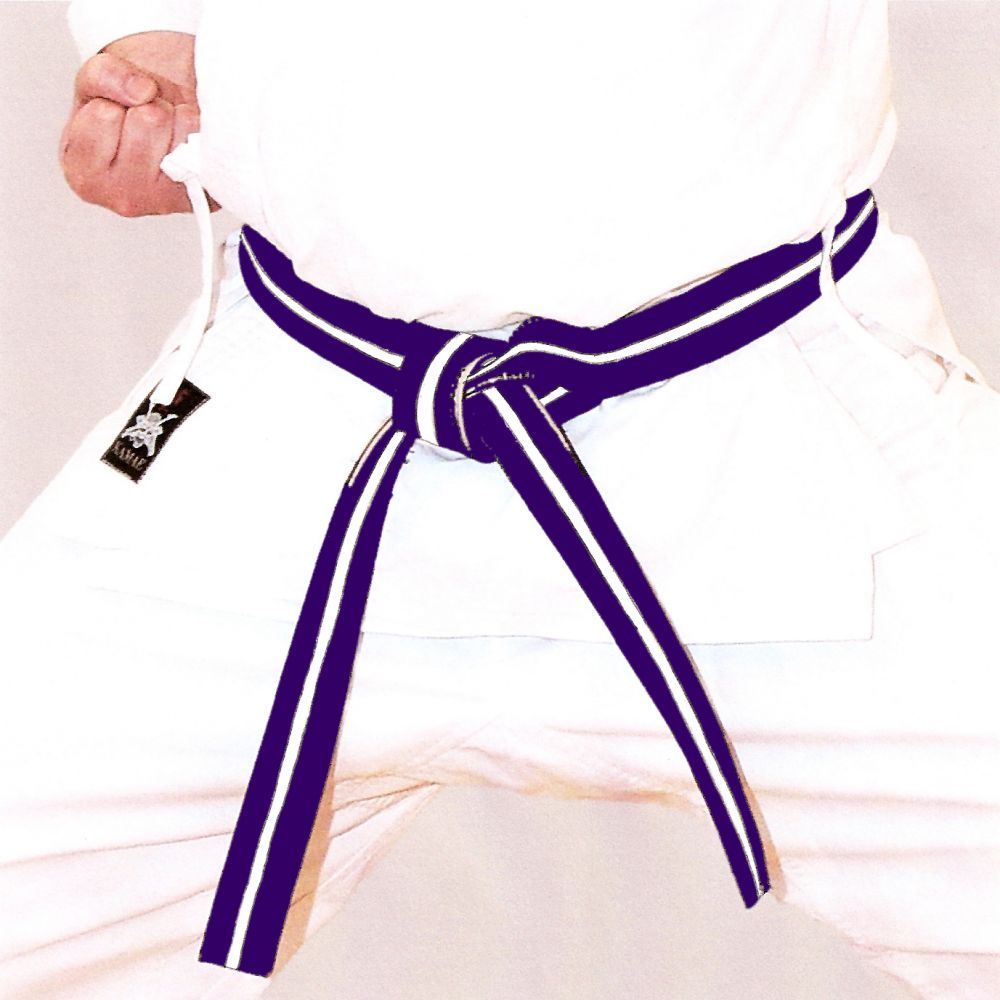 Purple and White Stripe Belt Shotokan Karate Ivybridge Devon