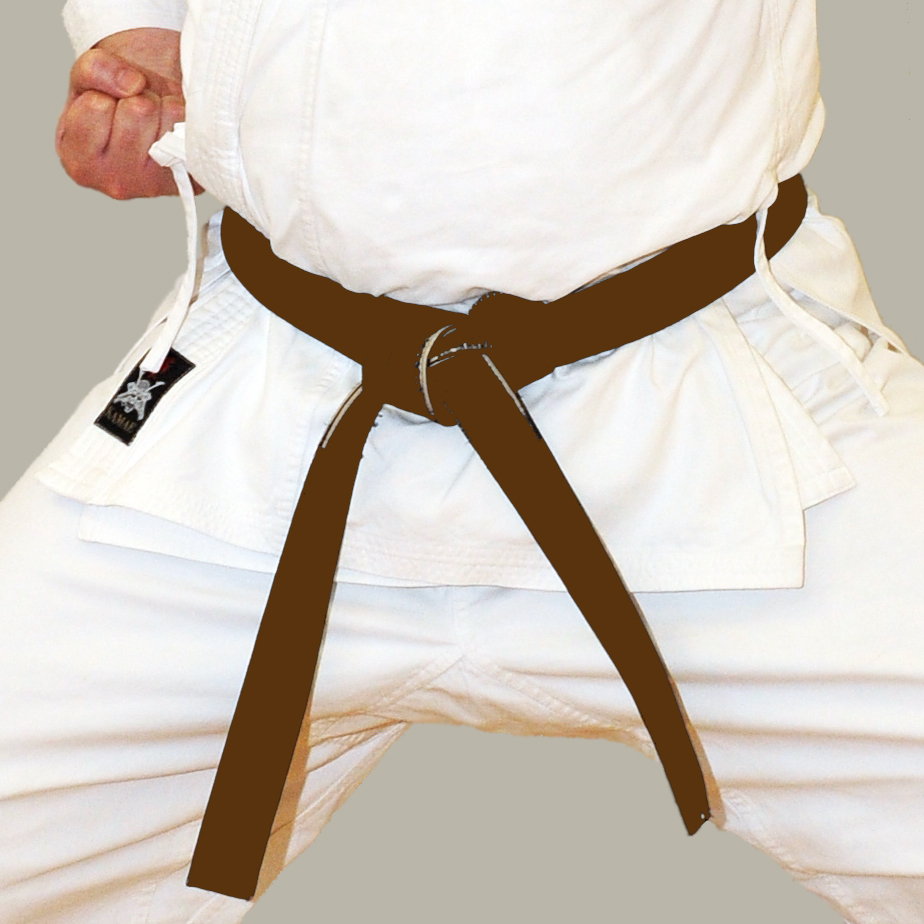 Brown Belt Shotokan Karate KUGB Ivybridge Devon