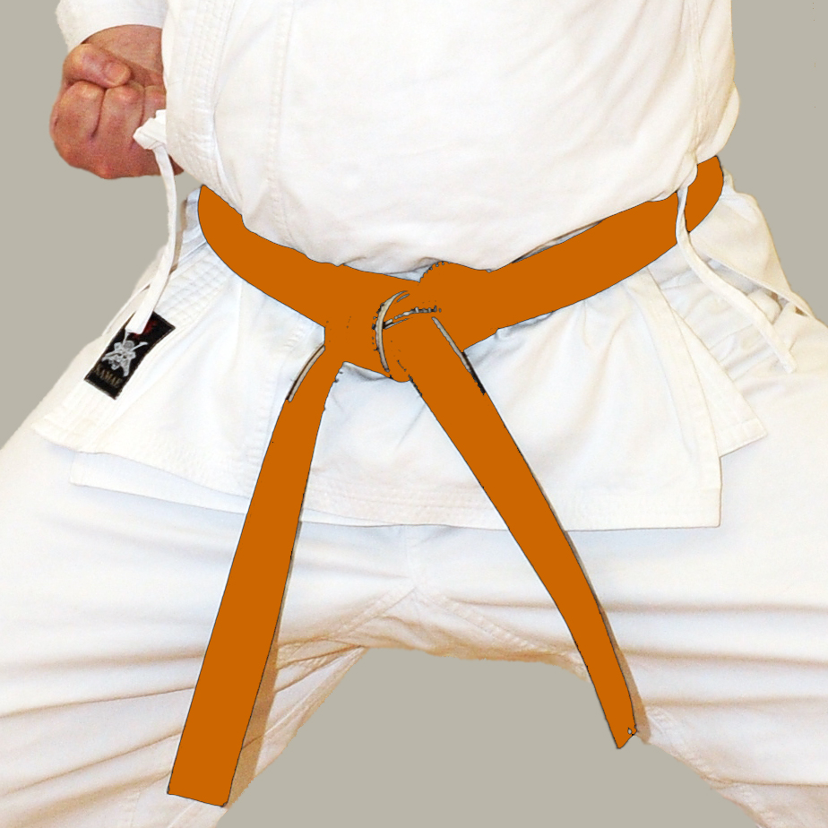 Orange Belt Shotokan Karate Ivybridge Devon