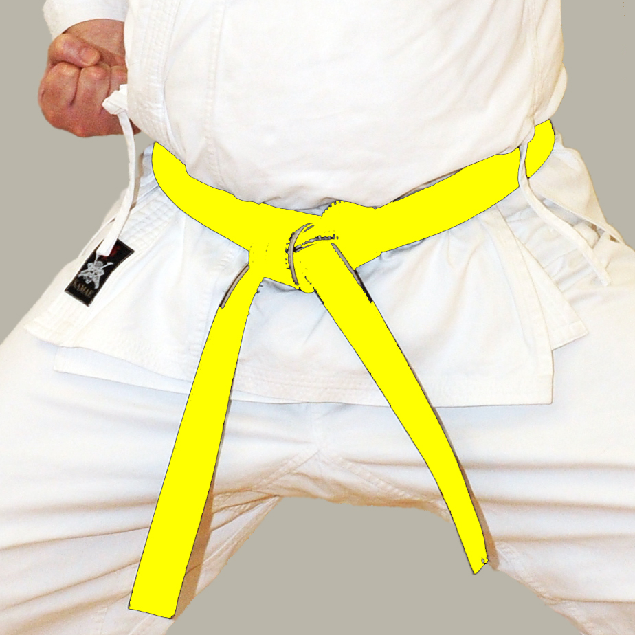 Yellow Belt Shotokan Karate Ivybridge Devon